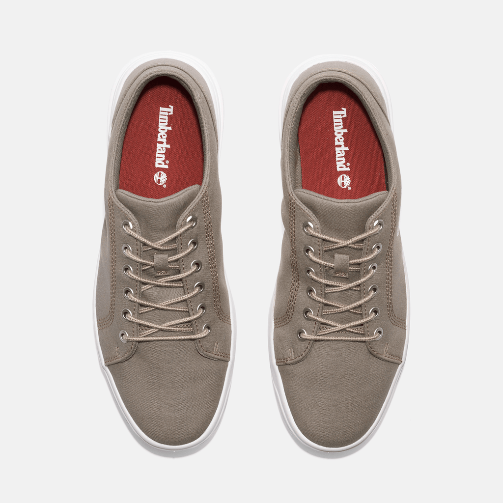 Mens Timberland Seneca Bay Sneaker TBL Light Taupe Canvas ALT2