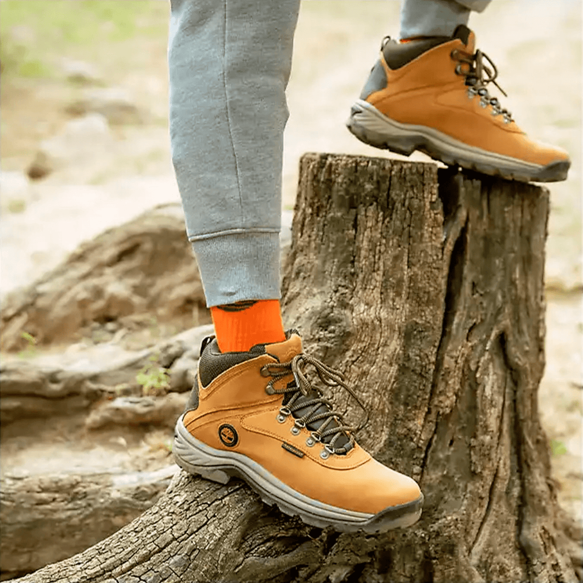Mens White Ledge Waterproof Mid Hiker Boot TBL Wheat ALT1