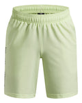 UA Tech™ Woven Wordmark Boys' Shorts - Green