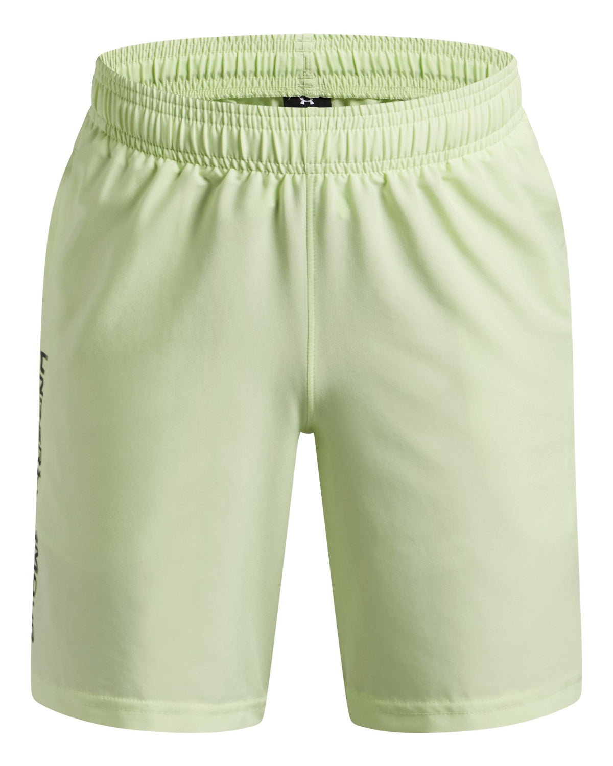 UA Tech™ Woven Wordmark Boys' Shorts - Green