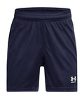 UA Challenger Boys' Shorts - Blue