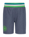 UA Court Mesh Little Boys' Shorts - Gray