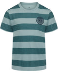 UA Printed Stripe Toddler Boys' Short Sleeve - Green