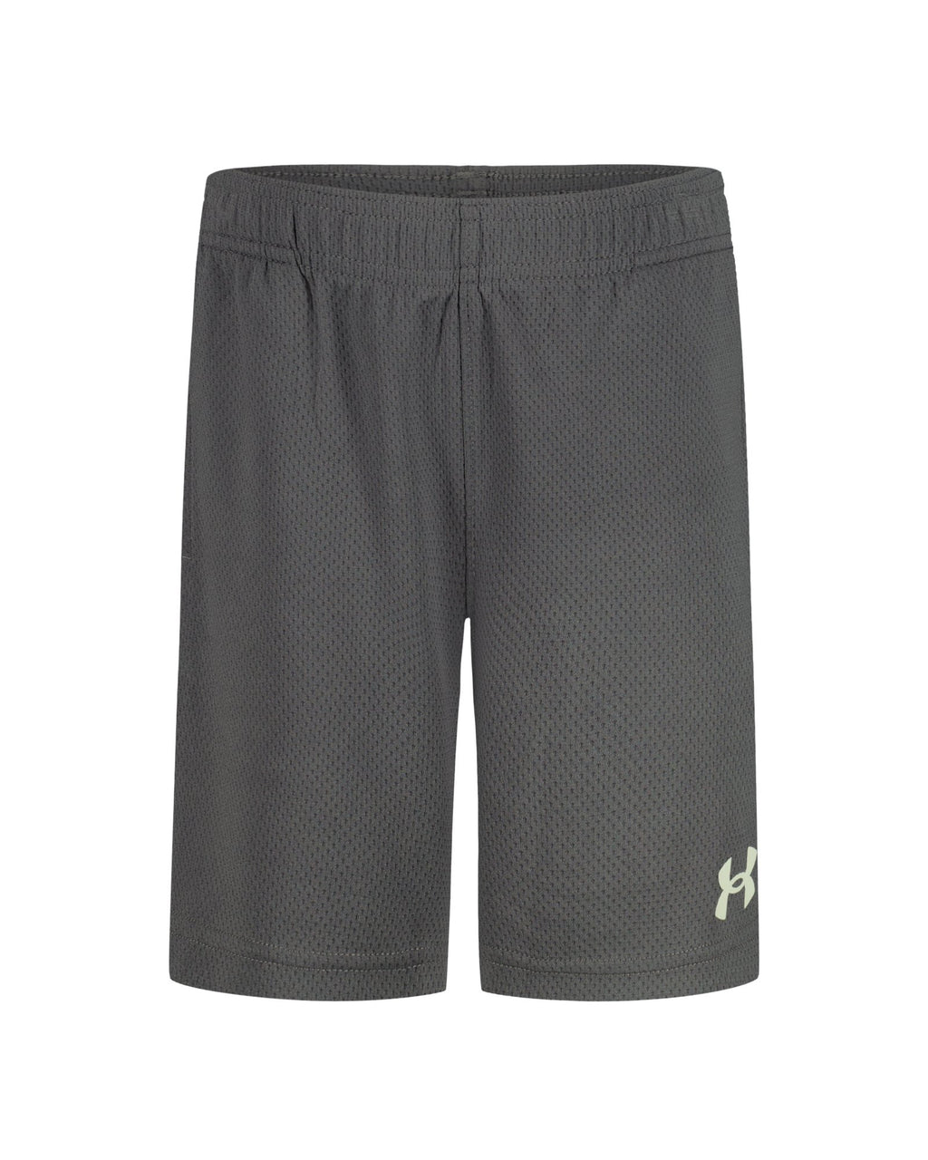 UA Tech™ Wordmark Little Boys' Shorts - Gray