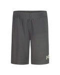 UA Tech™ Wordmark Little Boys' Shorts - Gray
