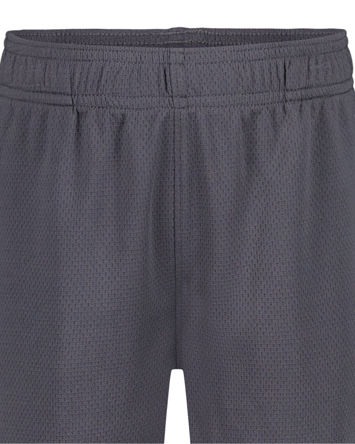 UA Tech™ Wordmark Little Boys' Shorts - Gray