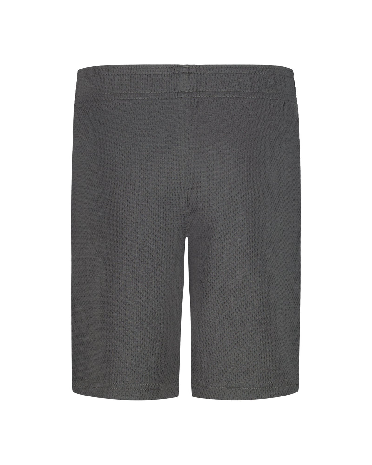 UA Tech™ Wordmark Toddler Boys' Shorts - Gray