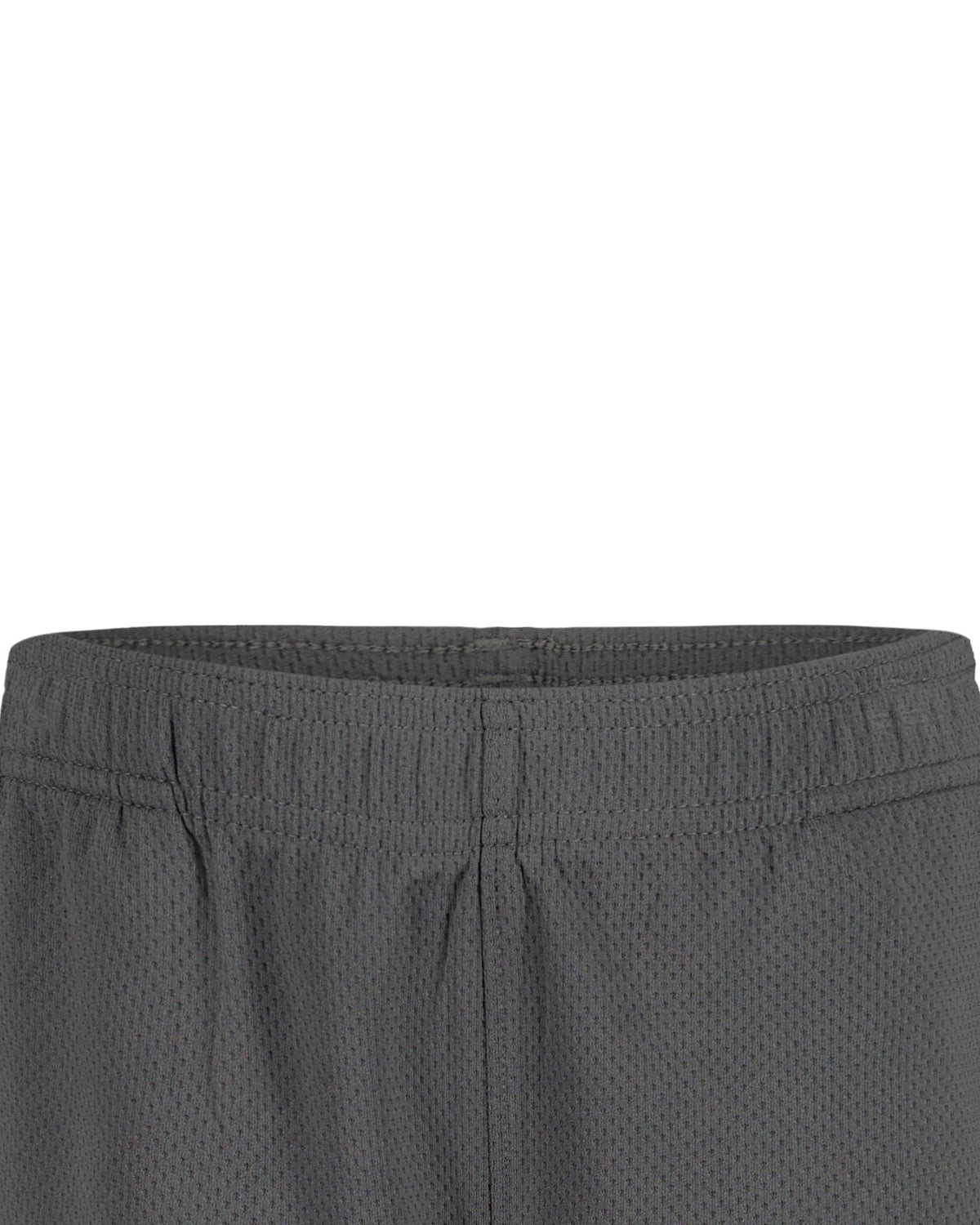 UA Tech™ Wordmark Toddler Boys' Shorts - Gray