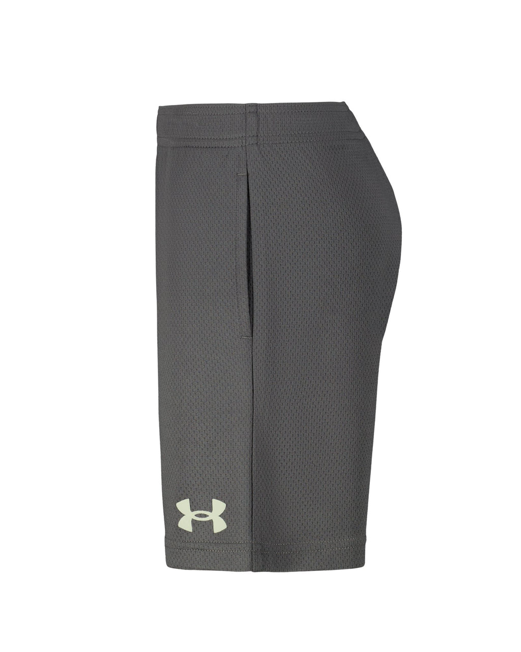 UA Tech™ Wordmark Toddler Boys' Shorts - Gray