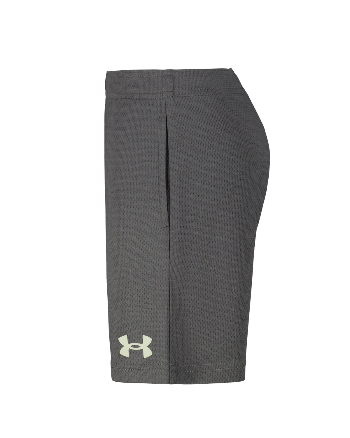 UA Tech™ Wordmark Toddler Boys' Shorts - Gray