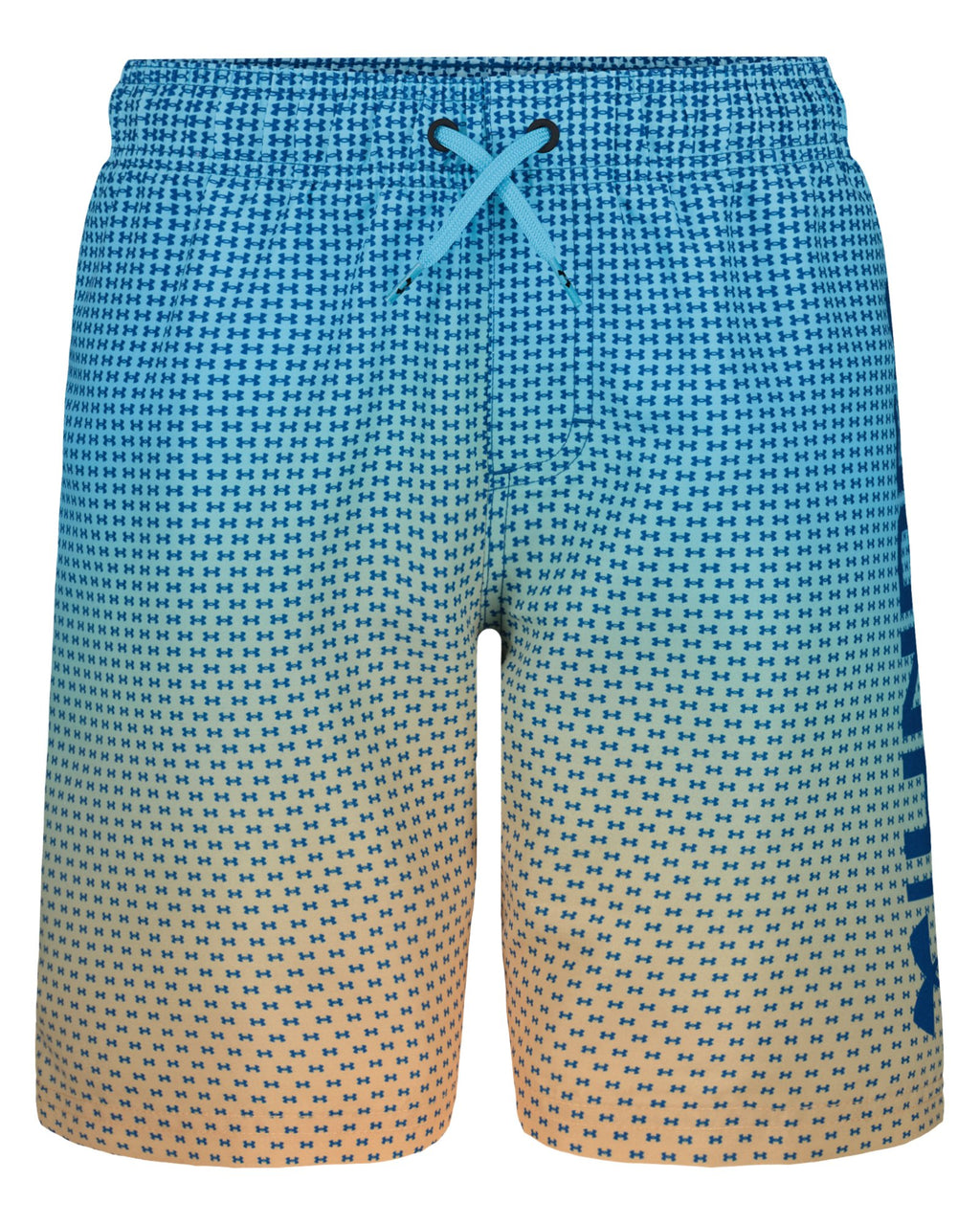 UA Gradient Logo Volley Boys' Volley Shorts - Blue