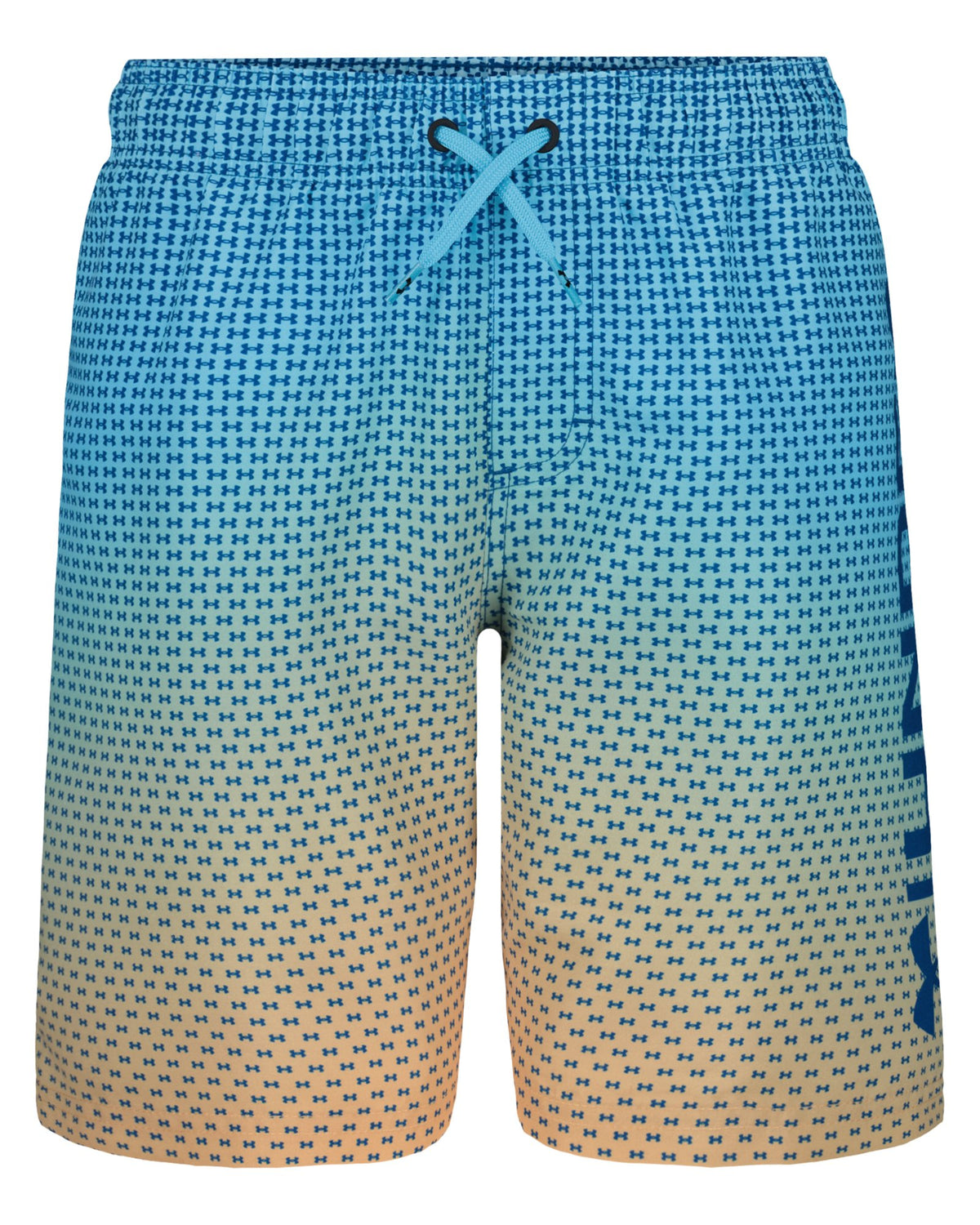 UA Gradient Logo Volley Boys' Volley Shorts - Blue