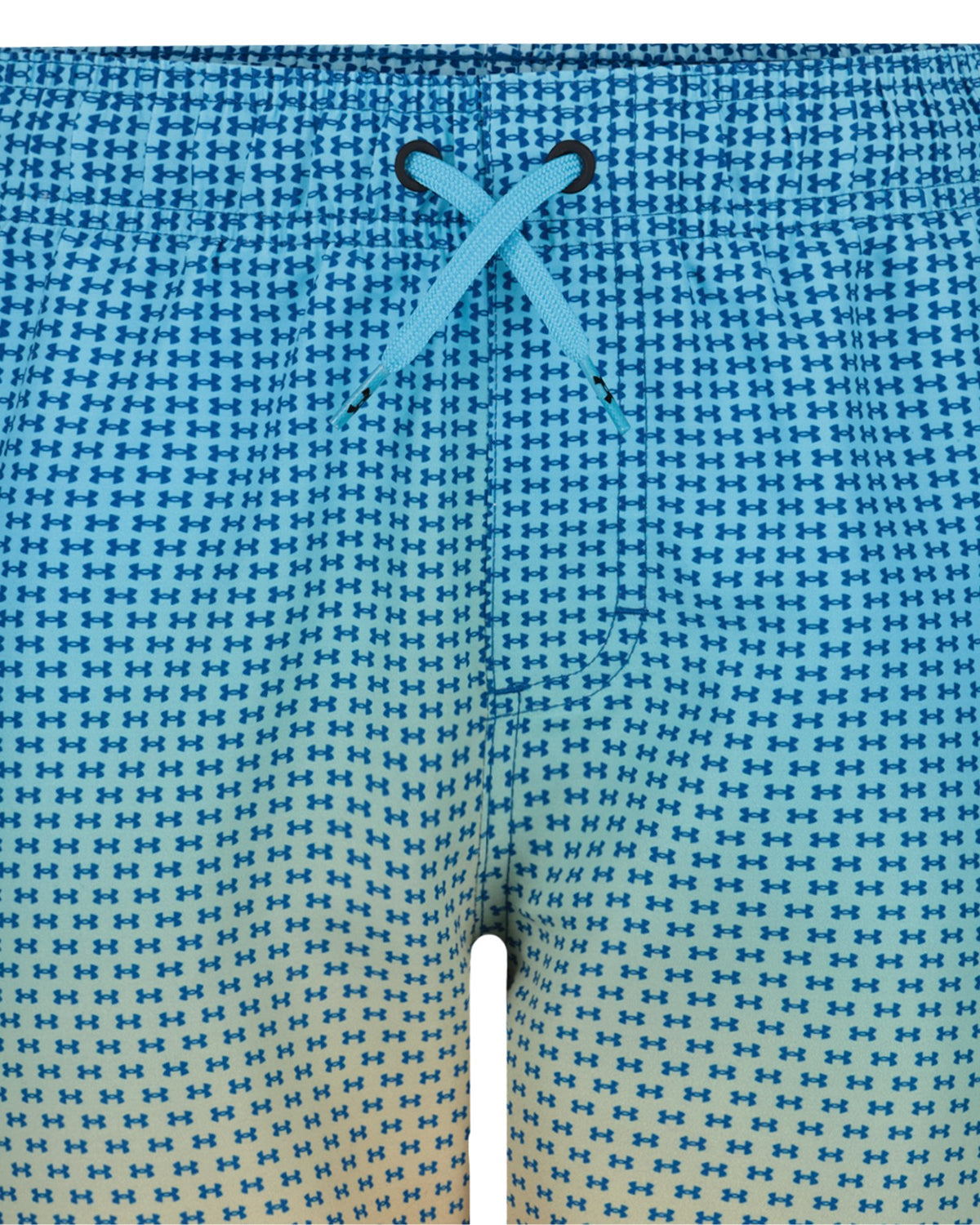 UA Gradient Logo Volley Boys' Volley Shorts - Blue