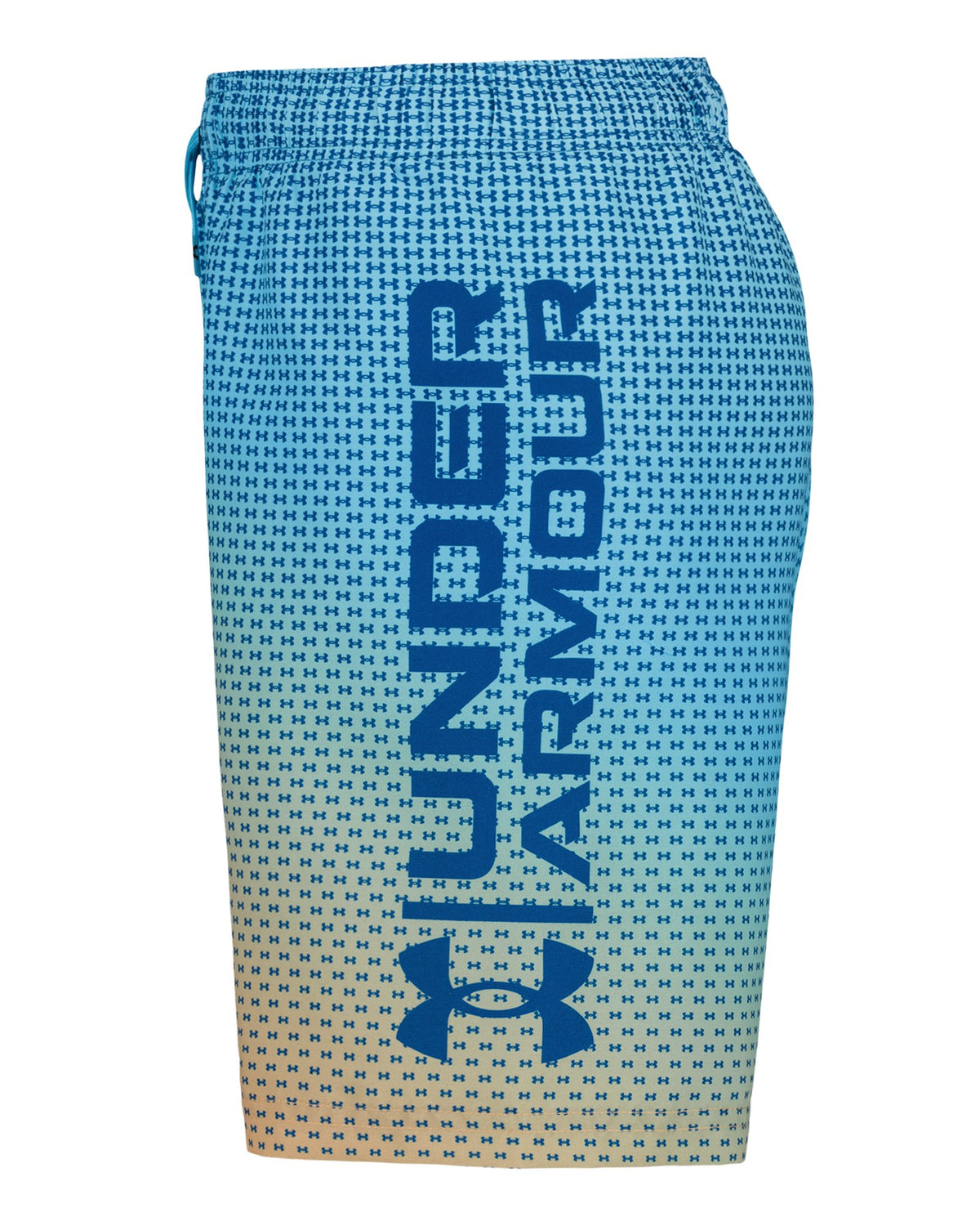 UA Gradient Logo Volley Boys' Volley Shorts - Blue