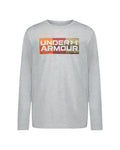UA Tri Mountain Logo Boys' Long Sleeve - Gray