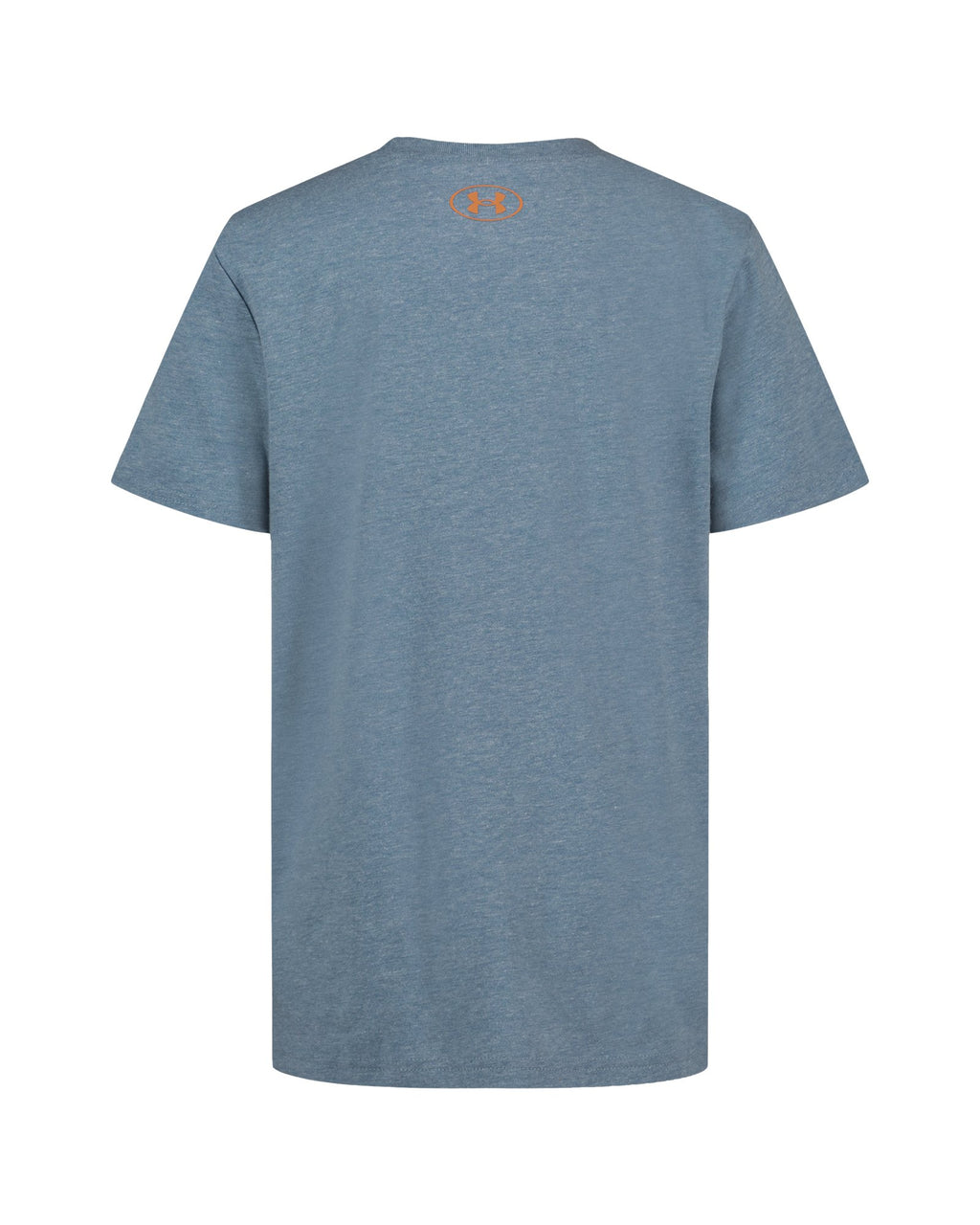 UA Species Logo Boys' T-Shirt - Blue