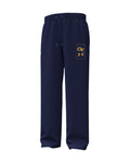 UA Icon Fleece Collegiate Men's Pants - Blue
