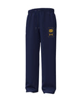 UA Icon Fleece Collegiate Men's Pants - Blue