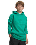 Armour Fleece® Embossed Boys' Hoodie - Green