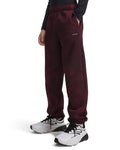 UA Icon Fleece Wash Print Gym Boys' Pants - Red