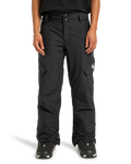 A person is shown wearing DC Shoes Women’s Nonchalant Insulated Snow Pants in black and black sneakers, standing against a white background. Their upper body is partially visible, with hands relaxed by their sides.