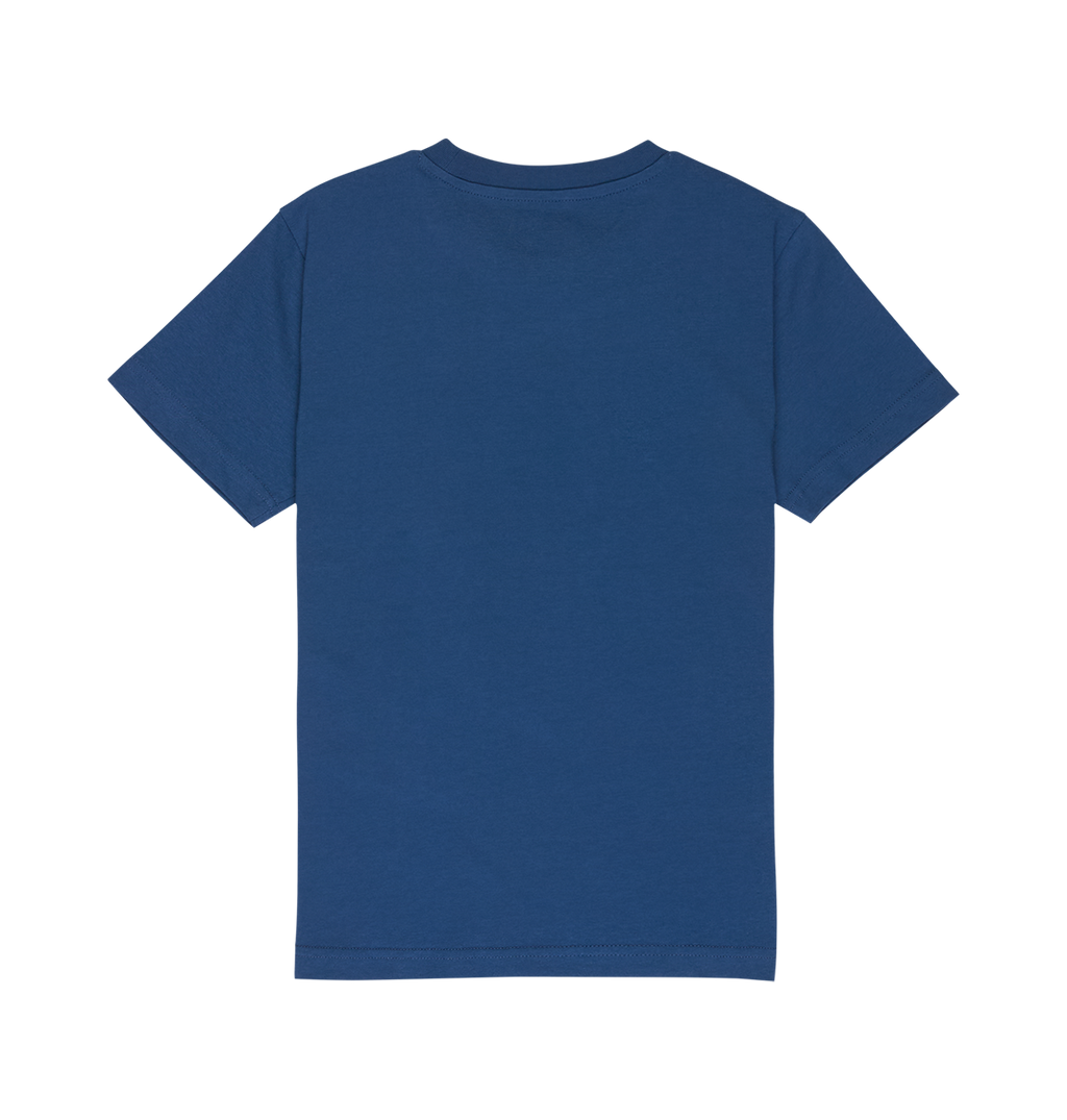 A relaxed-fit DC Shoes DC Star Filled Tee Youth in plain blue, short-sleeved and shown from the back against a white background.